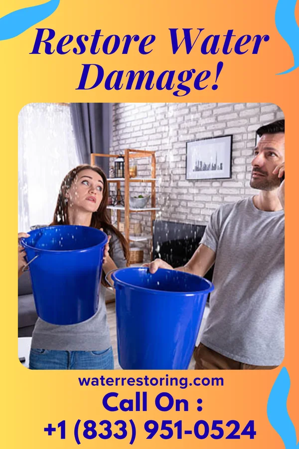 water restoration Premier Water Mitigation Specialists Loreauville