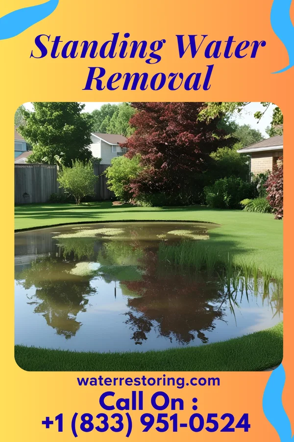 Standing Water Removal in Loreauville, LA
